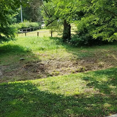 Muskátli Apartman * Parád
